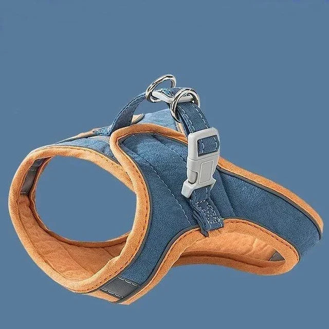 Luminous Cat Vest Harness and Leash Set😸