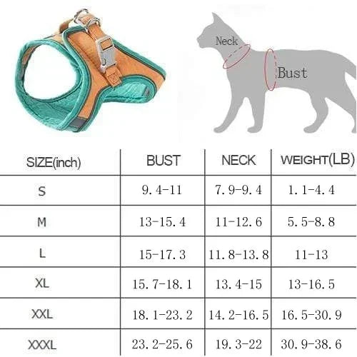 Luminous Cat Vest Harness and Leash Set😸