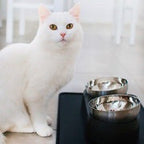 Anti-Vomiting Stainless Steel Cat Bowl