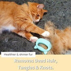 Cat Hair Removal Massaging Shell Comb