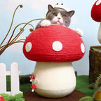 Mushroom Cat Scratcher