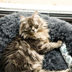 Fluffy Cat Bed