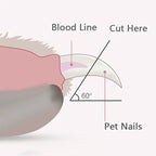 Professional Pet Nail Clippers with Led Light Pet Claw Grooming Scissor