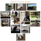Cat Window Hommock Perch Bed
