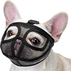 Protection Mask