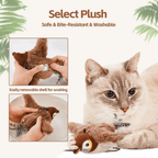 Chirping Toy