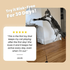 JumpJoy Cat Toy