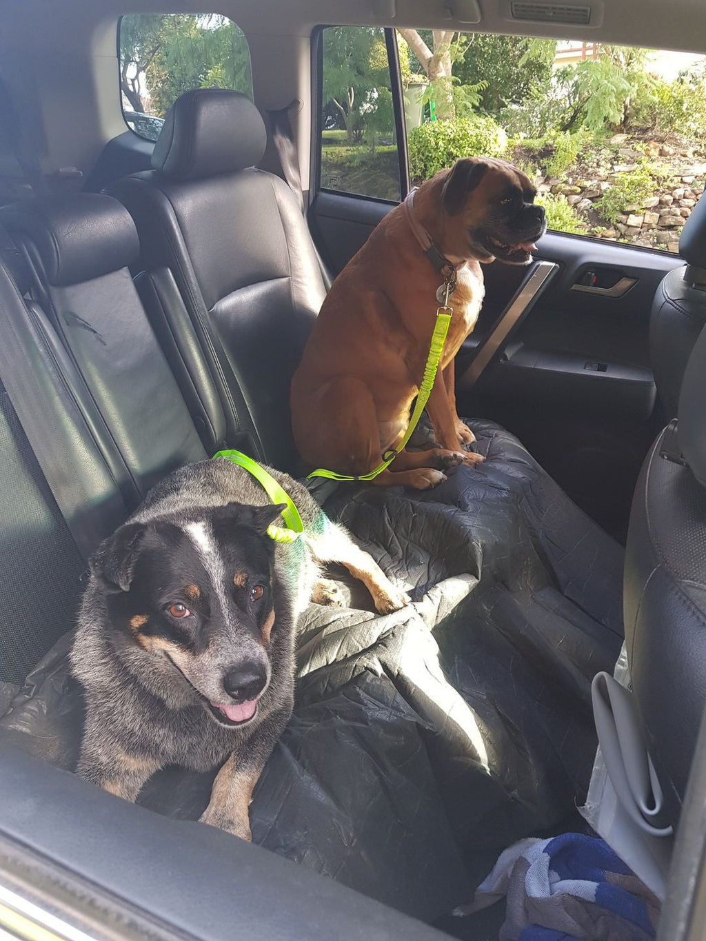 Adjustable Reflective Anti-Shock Pet Seat Belt