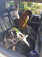 Adjustable Reflective Anti-Shock Pet Seat Belt
