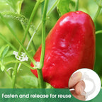 Tomato Clips Plastic Trellis Clips