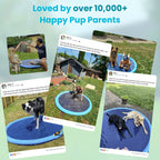 Refreshing Dog Sprinkler Pad